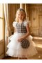 Girl's Fabric Tutu Skirt and Tutu Sleeve Fluffy Dress Hair Crown Bag Set of 3