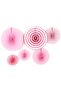Fan Pink Set of 6
