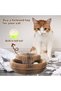 Cat Scratching Toy, Magic Cat Toy, Rattle Scratching Board, Cat Toy - 3