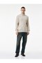 Long Sleeve Hair Knit Textured Turtleneck Sweater