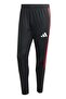 Tiro 26 C Pant Men's Sweatpants Black