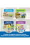 Set Stem Explorers™ Magnetworks™ - Minunile Magnetismului - 5