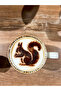 5-Piece Coffee Stencil Set 10X11 cm Bioplastic Squirrel, Big Paw, Small Paw, Fish, Koala - 2