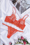 Orange Transparent Bra Set - 2