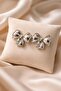 Women's Silver Lacquer Plated Model Earrings That Represent a More Pronounced Volume and Strong Bond, and Shoot Outwards - 3