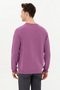 Men's Violet Sweatshirt 50256355-Vr037 - 5