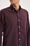 Burgundy Comfort Fit Button-Down Collar Cotton Shirt - 3