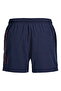 Large Size Regular Fit Deniz Sortu - Maui - 6