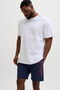 Large Size Regular Fit Deniz Sortu - Maui - 4