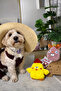 Pink Easter Bunny Plush Dog Toy - Dog Playmate - 6