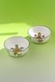 Cactus Green 2 Porcelain Salad Bowls
