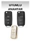 Vw Skoda Seat Golf Jetta Tiguan Transporter Caddy Polo Beetle Leon Fabia Ibiza - 2