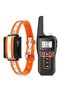Electronic Collar for Dog Training with Remote Control