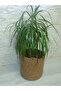 Handcrafted Decorative Brown 30X30Cm Plant Pot Cover Decorative Natural and Stylish - 5