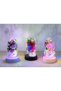 Illuminated Musical Romantic Bell Jar Single Rose