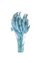 Lagurus Blue