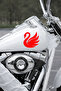 Swan Figured Car Sticker - Elegant Swan Design - Auto Motor Sticker 15X15Cm - 4