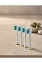 Color Ring Family Type Toothbrush Replacement Head 4-Pack - Karbul4626-1558