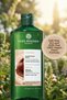 Easy Combing Shampoo Normal Dry Hair Nourishing Salt-Free Vegan 300 ml - 3