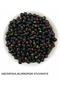 7mm round black base colorful ball letter beads, alphabet letter beads (100gr, ~450 pieces)