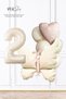 Retro Cream Butterfly Theme 2 Year Old Birthday Balloon Chain Age Balloon Set250