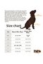 Leopard Dog Harness Set Anti-Pull/Breathable Fabric/Walking Strap - 5