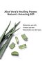 ALEOVERA SPONGE NATURAL SOAP ZULLEM -ALOEVERA NATURAL SOAP - 3