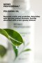 Polishing Oil, Pedicure and Manicure Tea Tree Extract Shine Molecular Oil, Hand and Foot Polish, 30 ml - 4