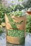 250 gr mint candy / natural pastille |   Herbal candy with peppermint oil - 2