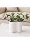 Elliptical Ceramic Vase Model