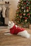 Hooded Sweatshirt Dog And Cat Christmas Outfit - New Year's Special Santa Claus - 3