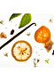 عطر دسك أوترو للجنسين - 6