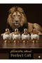 Perfume Distributions in Packaged Bottles (25) ml 12 Pieces