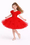 Girl's Rose Party Outfit Birthday and Performance Costume Dress - 3