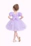 Girl's Rose Party Outfit Birthday and Performance Costume Dress Age 2/12 - 2