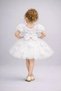 Girl's Rose Party Outfit Birthday and Performance Costume Dress Age 2/12 - 3