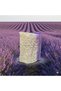 Pumpkin Fiber Lavender Scented Beauty Soap (1 Piece) - 2
