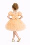 Girl's Rose Party Outfit Birthday and Performance Costume Dress - 2
