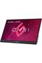 Monitor 17" Vx1755