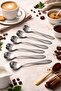 Set of 6 Elegance Series Tea & Coffee Spoons Silver Velvet Model