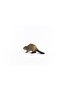 Beaver 14855 - 3