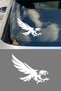 Predatory Eagle Sticker Car Window Sticker - Eagle Auto Sticker 15X12Cm