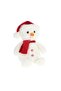 Snowman Plush Toy - 2