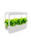 LED Gardening Frame with Pot