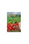 Vegetable Radish Rapid Seeds