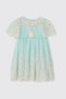 Baby Girl Embroidered Rose Detailed Mint Dress