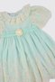 Baby Girl Embroidered Rose Detailed Mint Dress - 3