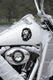 Roaring Lion Car Sticker - King Lion Sticker - Auto Motor Sticker 11X15Cm - 5