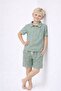Boy's Muslin Shorts Printed T-Shirt Set Casual 2-Piece Set