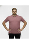 Large Size Lycra Polo Collar Lacoste T-shirt - 3